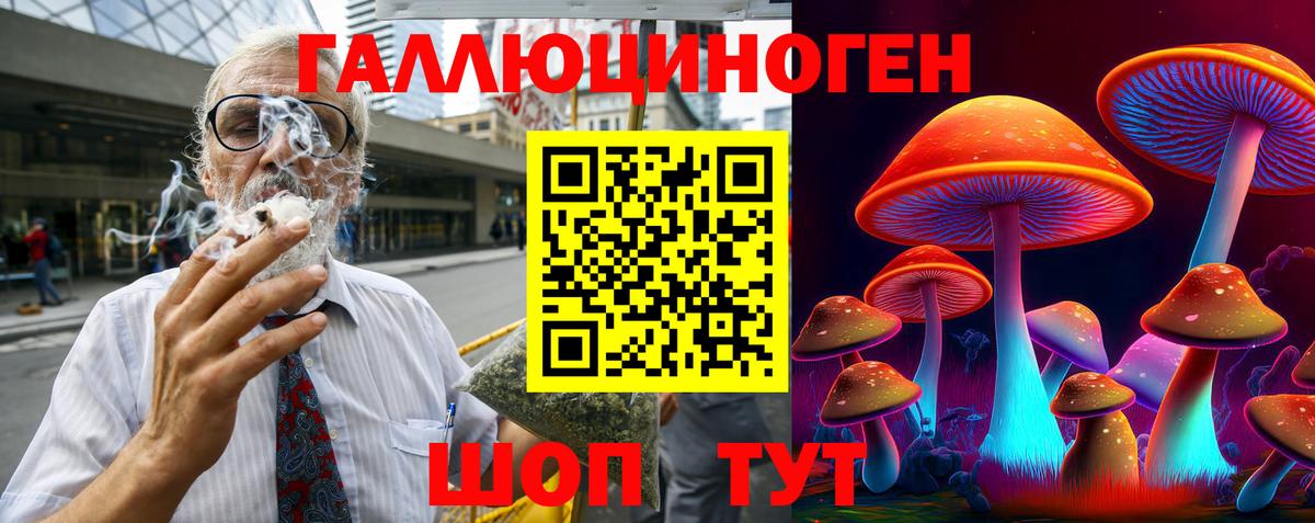 Псилоцибиновые грибы Cubensis Миллерово