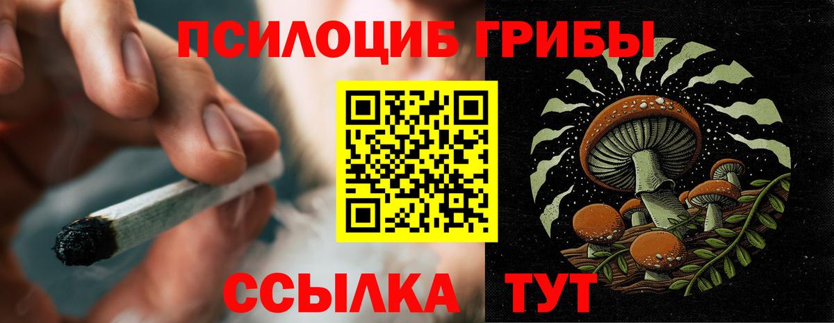 Псилоцибиновые грибы Magic Shrooms  Вход с VPN  Миллерово  Галлюциногенные грибы Psilocybe 